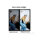 I-65 inch Outdoor LCD isibonisi 2500nits